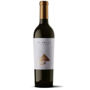 VINO TINTO SEISMILES CABERNET SAUVIGNON 750 CC